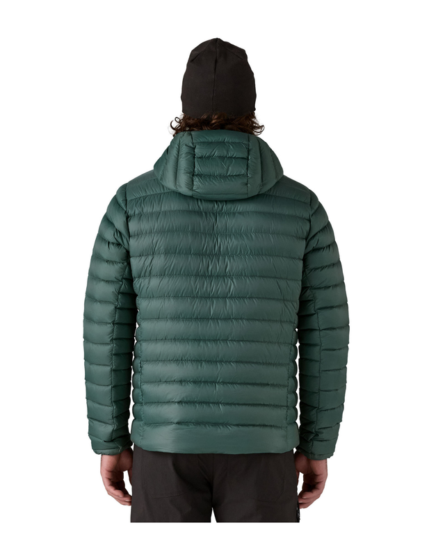 Patagonia Men Down Sweater Hoody - Cascade Green  Alpingaraget