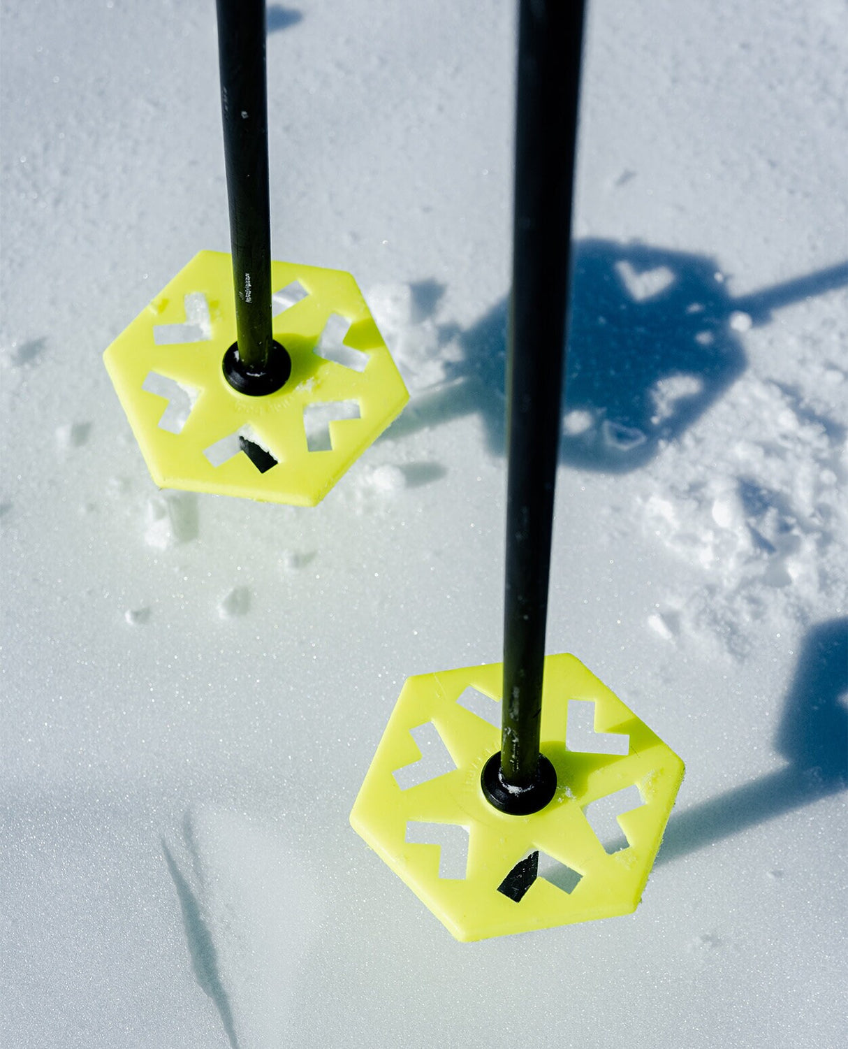 Black Crows Duos Freebird Pole - Black Yellow - Alpingaraget