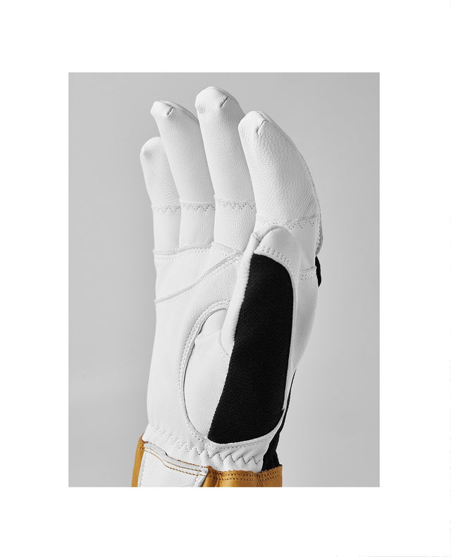 Hestra Ergo Grip Alpha 5 Finger - Black - Alpingaraget