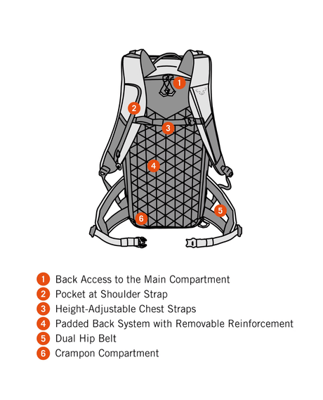 Dynafit Free 34 Backpack - Storm Blue Blueberry - Ryggsäckar - Alpingaraget