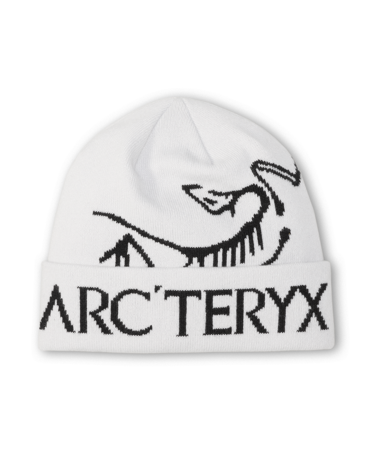 Arc'teryx Bird Word Toque - Orca