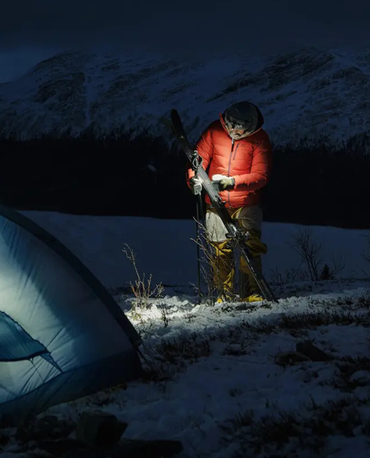 Elevenate Mens Bec de Rosses XI Pants - Pecan Brown - Alpingaraget