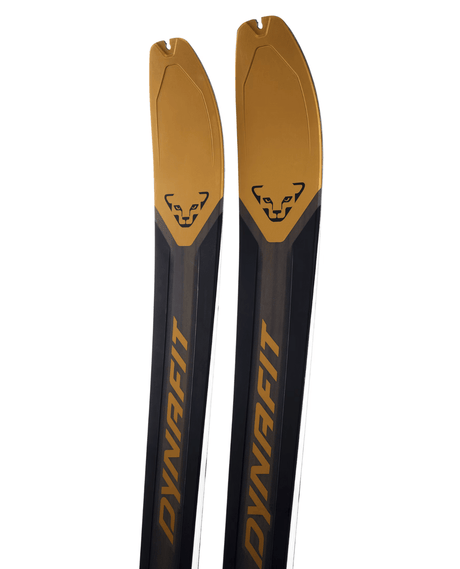 Dynafit Ridge 95 25/26 - Topptursskidor - Alpingaraget