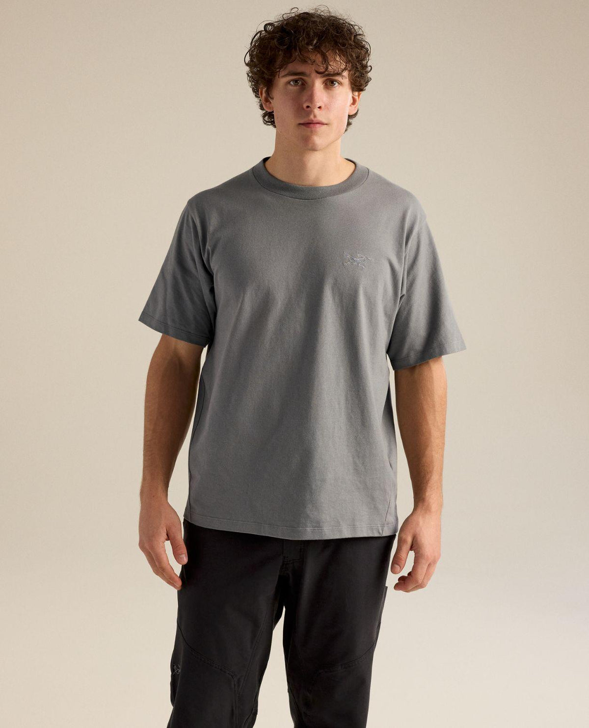 Arc'teryx Kragg Cotton Emblem Crew SS Men i grått för herrar, visad framifrån på modell.