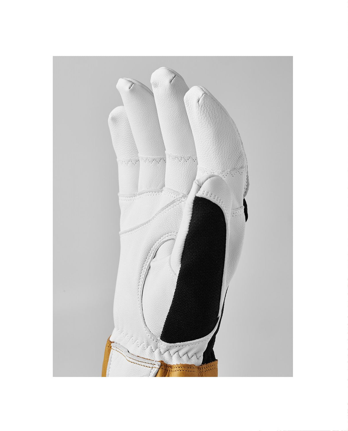 Hestra Ergo Grip Alpha 5 Finger - Black - Alpingaraget