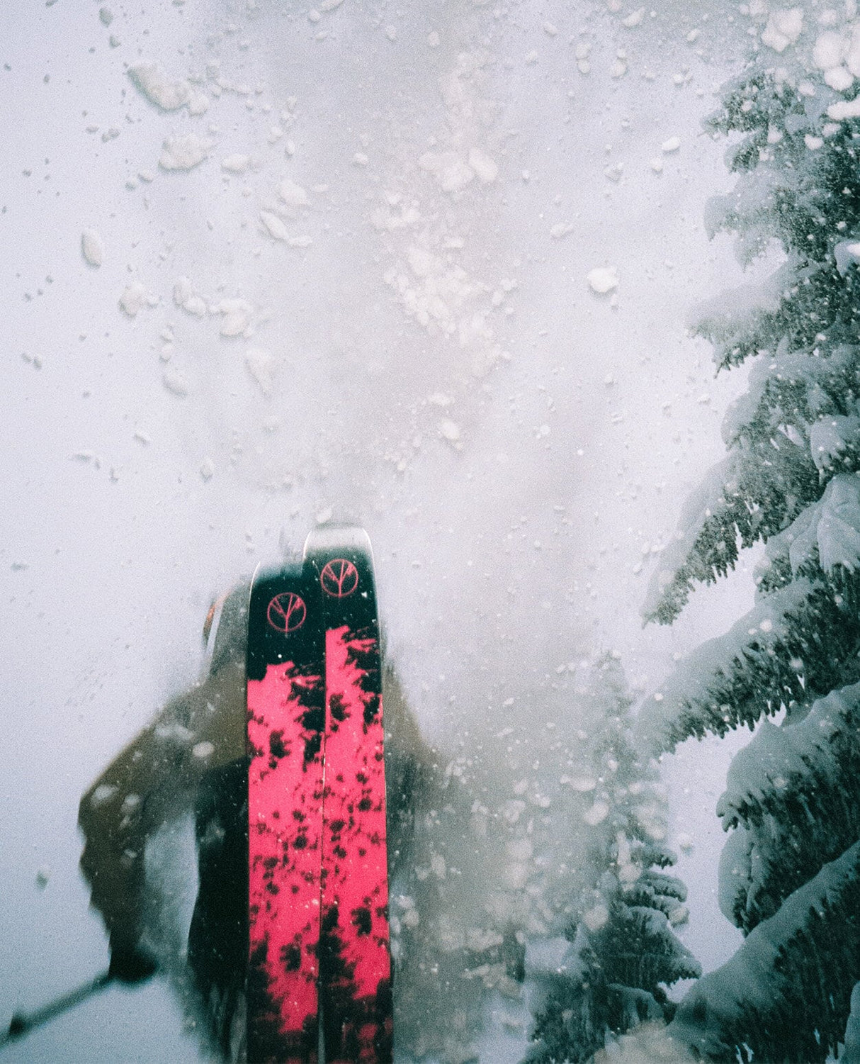 Salomon QST X 24/25 - Alpingaraget