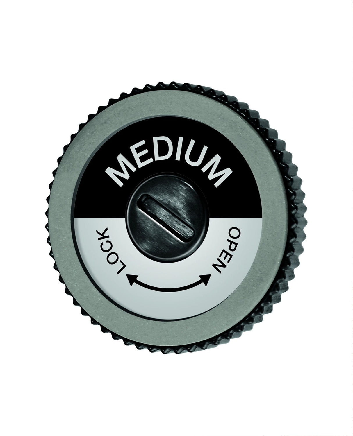 Swix EVO Spare Disc Medium - Alpingaraget